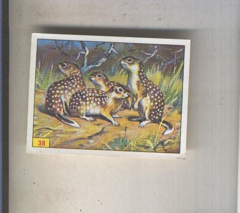 Cromo  Mamiferos de Panini numero 038