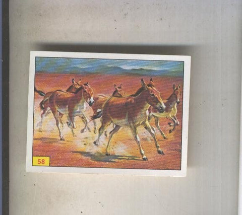 Cromo  Mamiferos de Panini numero 058