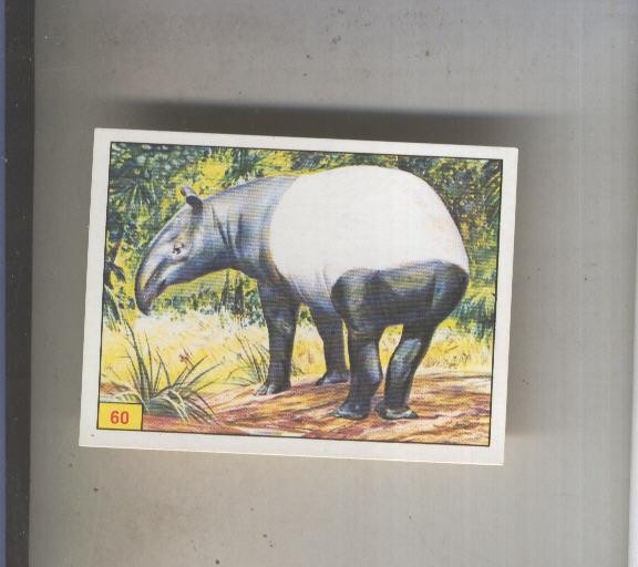 Cromo  Mamiferos de Panini numero 060