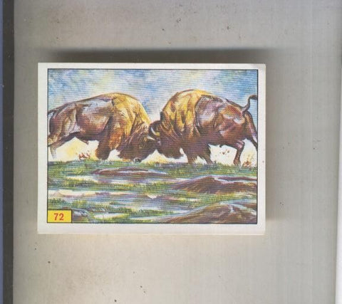 Cromo  Mamiferos de Panini numero 072