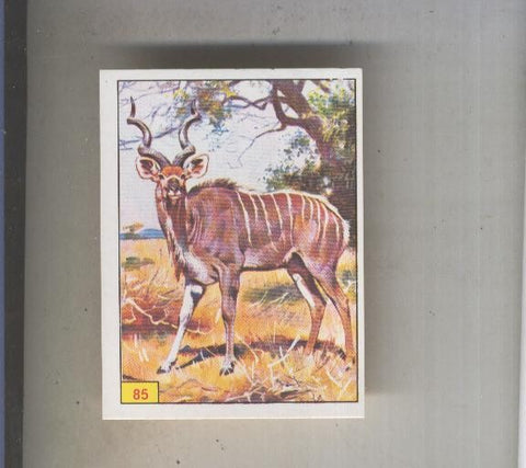 Cromo  Mamiferos de Panini numero 085