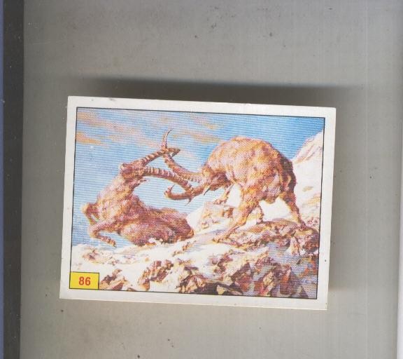 Cromo  Mamiferos de Panini numero 086