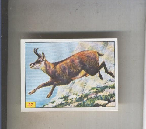 Cromo  Mamiferos de Panini numero 087