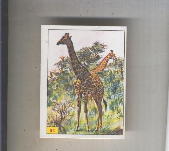 Cromo  Mamiferos de Panini numero 094