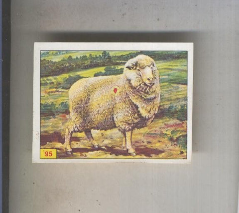 Cromo  Mamiferos de Panini numero 095