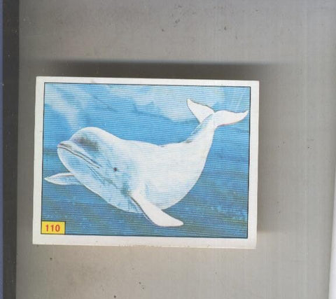 Cromo  Mamiferos de Panini numero 110