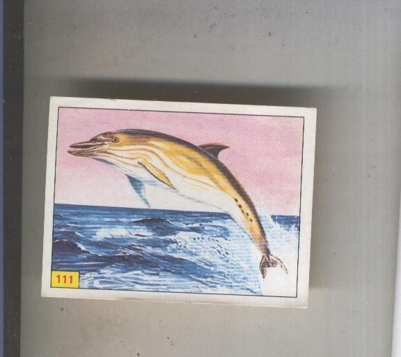 Cromo  Mamiferos de Panini numero 111