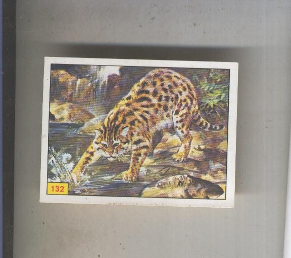 Cromo  Mamiferos de Panini numero 132