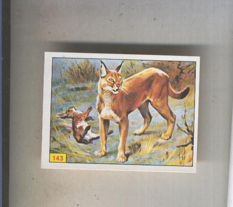 Cromo  Mamiferos de Panini numero 143
