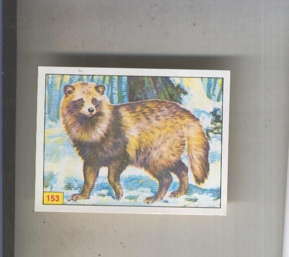 Cromo  Mamiferos de Panini numero 153