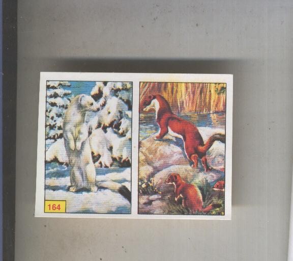 Cromo  Mamiferos de Panini numero 164