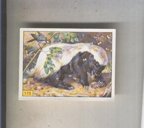 Cromo  Mamiferos de Panini numero 173