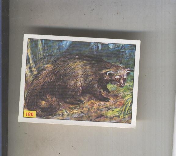 Cromo  Mamiferos de Panini numero 180
