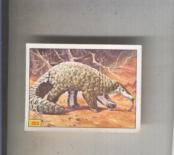 Cromo  Mamiferos de Panini numero 203