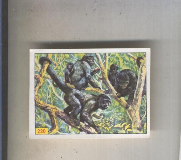 Cromo  Mamiferos de Panini numero 220