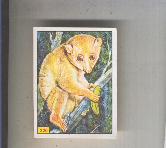 Cromo  Mamiferos de Panini numero 226