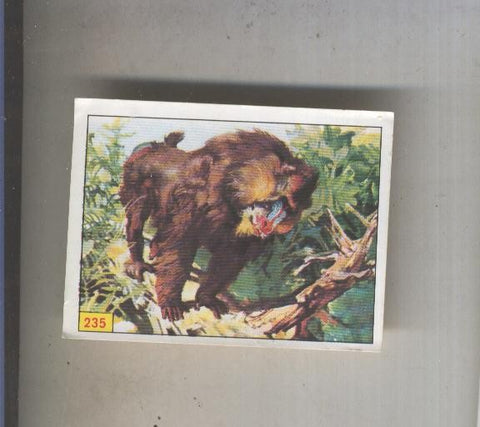 Cromo  Mamiferos de Panini numero 235