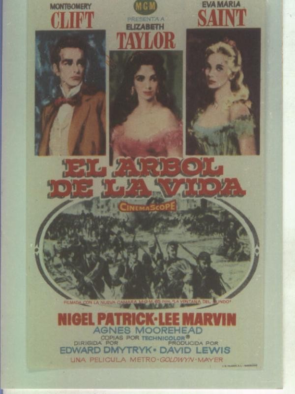 Foto cine 113: El arbol de la vida (Montgomery Clift-Elizabeth Taylor)