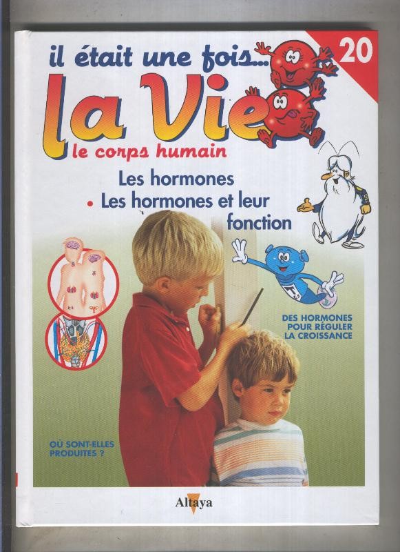 il etait une fois la vie numero 20: Les hormones, Les hormones et leur fonction