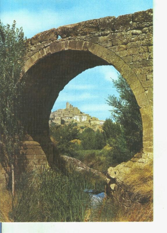 Postal 014361: Vista y Puente romanico de SOS del Rey Catolico, Zaragoza
