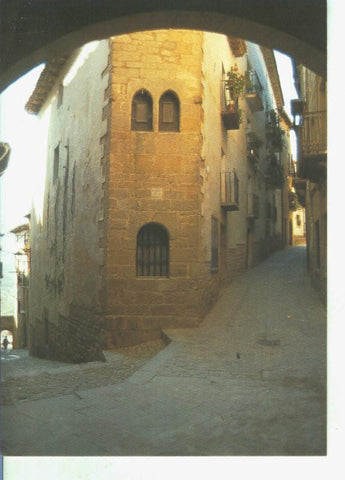 Postal 014362: Casa de Santangel en SOS del Rey Catolico, Zaragoza