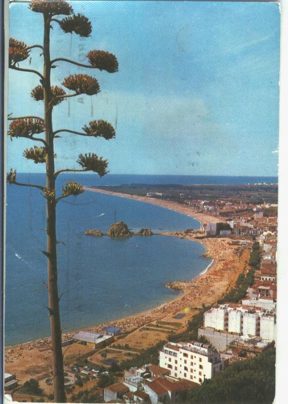 Postal 014411: Vista general de Blanes, Gerona