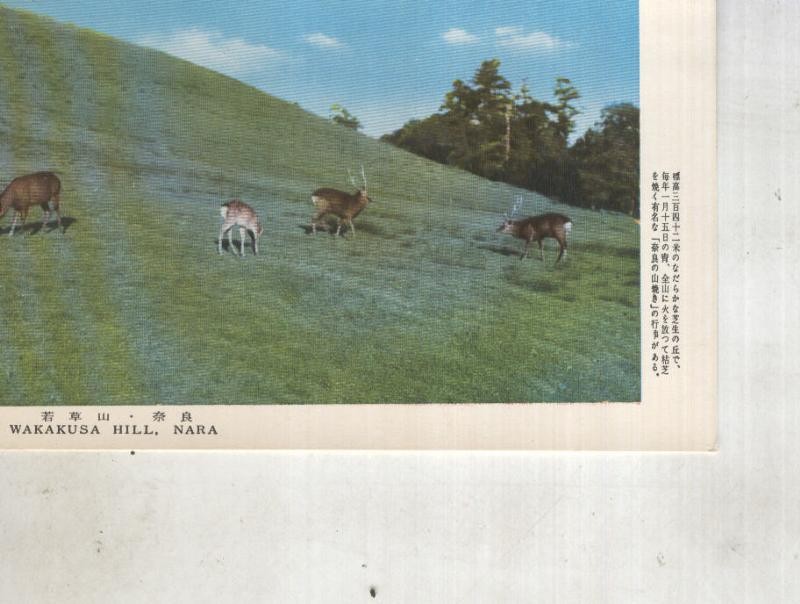 Postal 014437: Wakakusa Hill, Nara