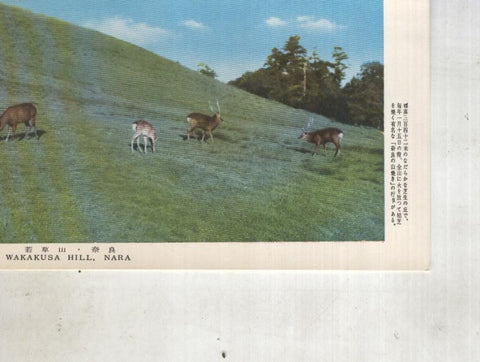 Postal 014437: Wakakusa Hill, Nara