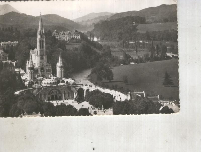 Postal 014456: Basilica de Lourdes