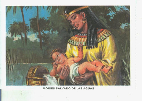 Postal 014528: La Biblia: Moises salvado de las aguas