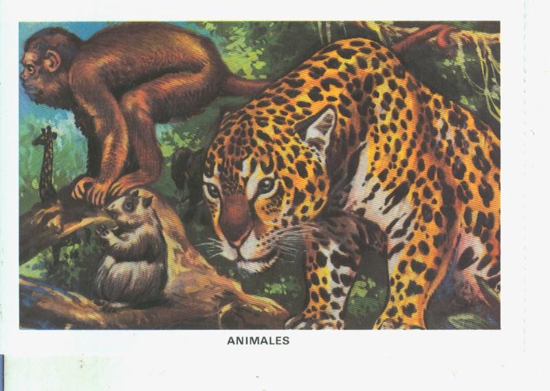 Postal 014538: La Biblia: Animales