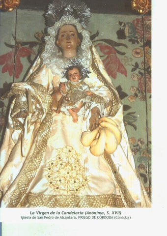 Postal 014602: Virgen de la Candelaria (anonima)