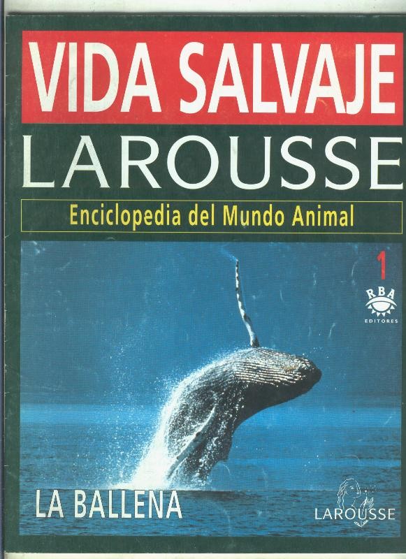 Vida salvaje numero 1: La ballena