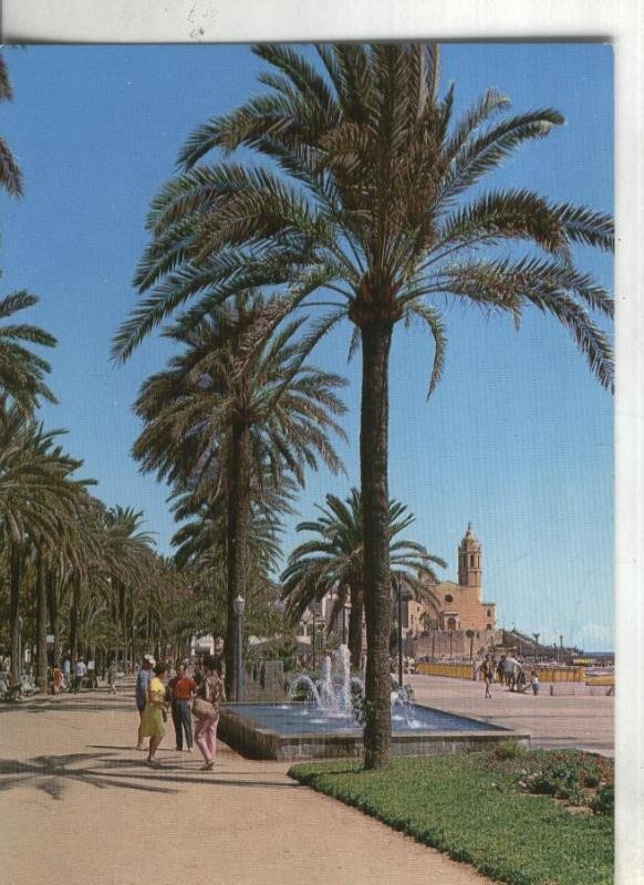 Postal 003548: Sitges: paseo de las palmeeras