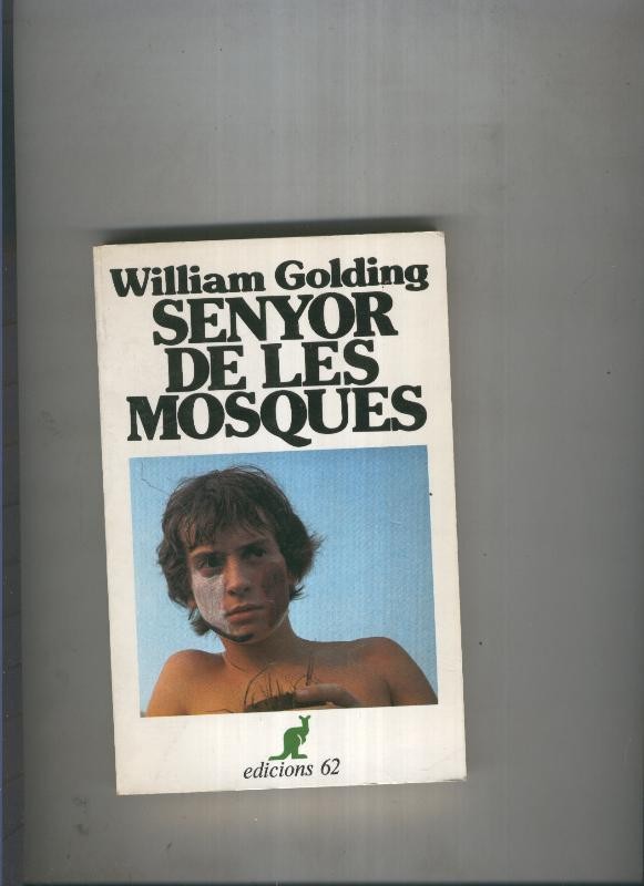 Senyor de les mosques