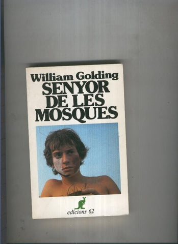 Senyor de les mosques