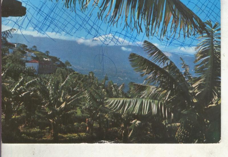 Postal 014679: Vista del Teide desde el valle de la Orotava