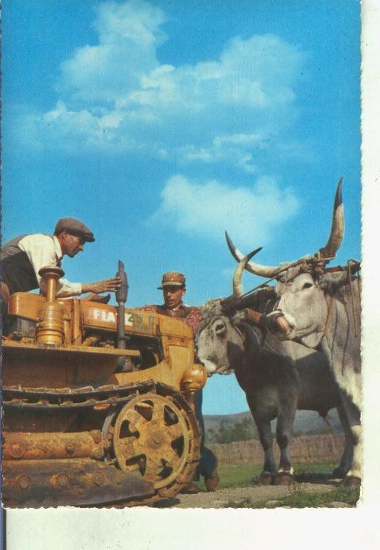 Postal 014707: Escena campiña italiana