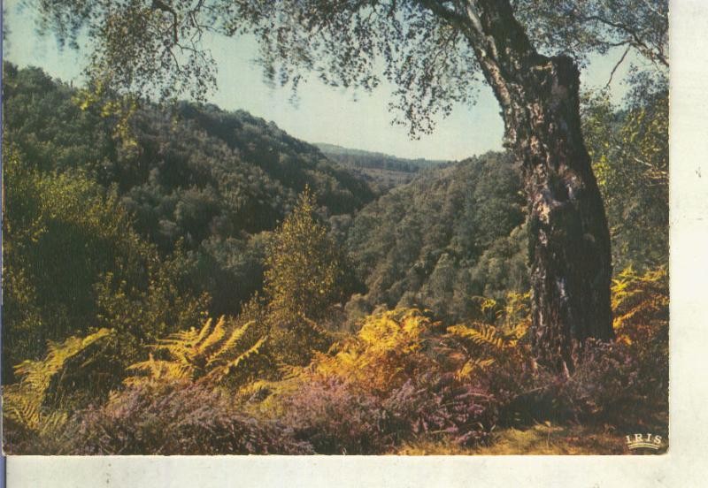 Postal 014747: Paisaje del Vale de Taurion en Vallieres, Francia