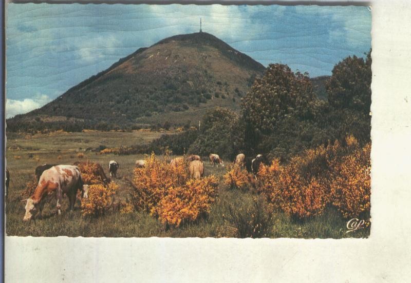 Postal 014754: Le Puy de Dome