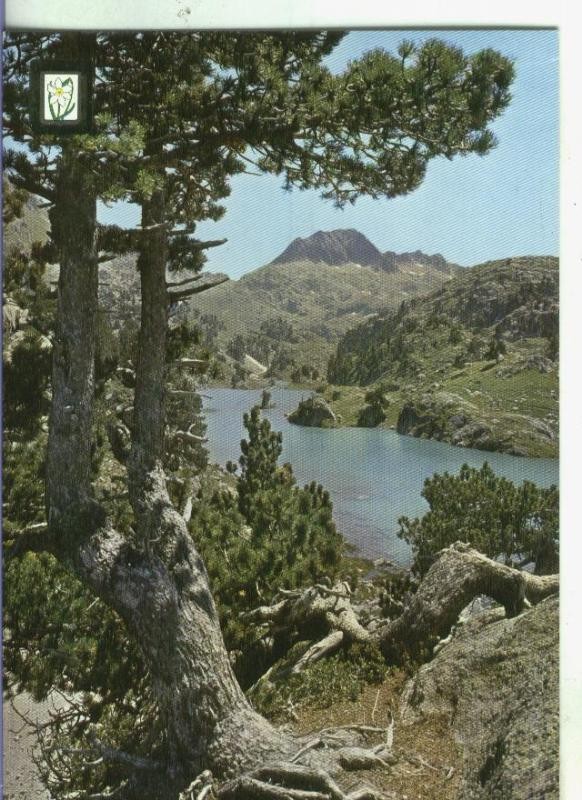 Postal 002550: Paisajes de Montaña numero 45
