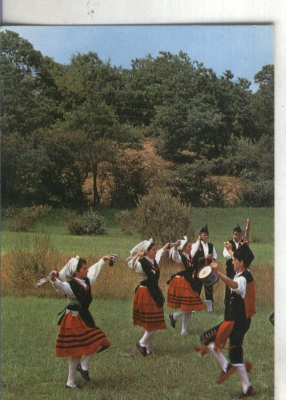Postal 002463: Asturia: Grupo tipico
