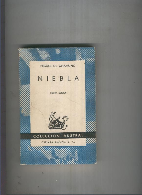 Niebla