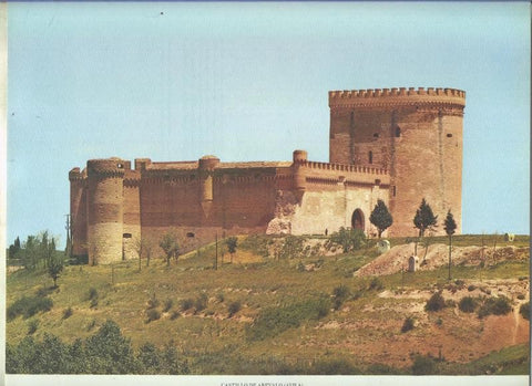Castillo de Arevalo en Avila