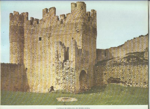 Castillo de Berlanga de Duero en Soria