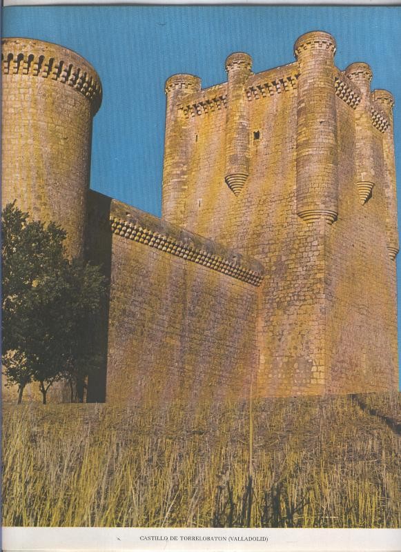 Castillo de Torrelobaton en Valladolid