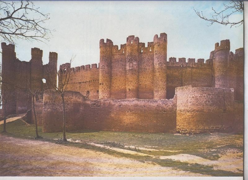 Castillo de Valencia de Don Juan en Leon
