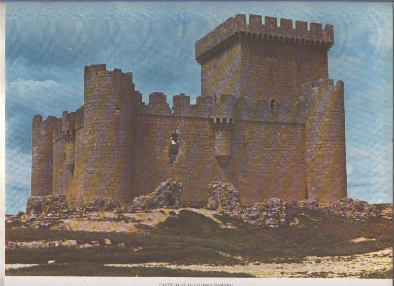 Castillo de Villalonso en Zamora