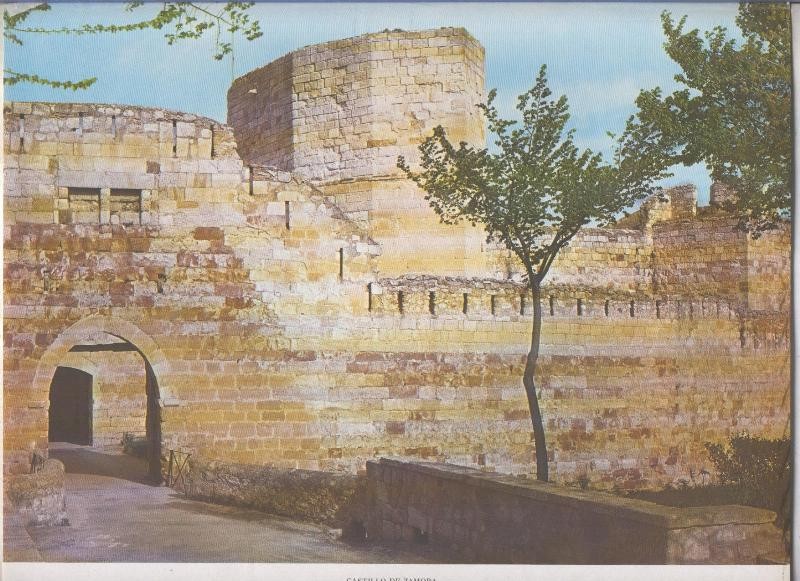 Castillo de Zamora