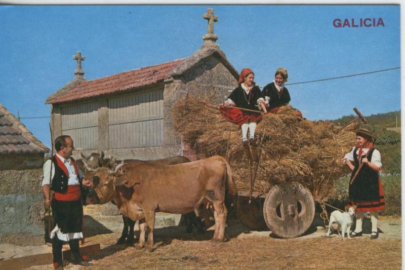 Postal 008058 : Imagen tipica Gallega